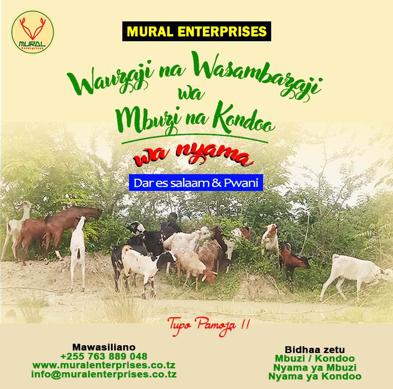 We sell goats and sheep in Dar es Salaam & Pwani Region