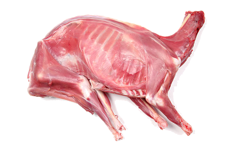 Qurban Service